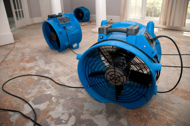 Best Water damage restoration company  in Marble Falls, TX